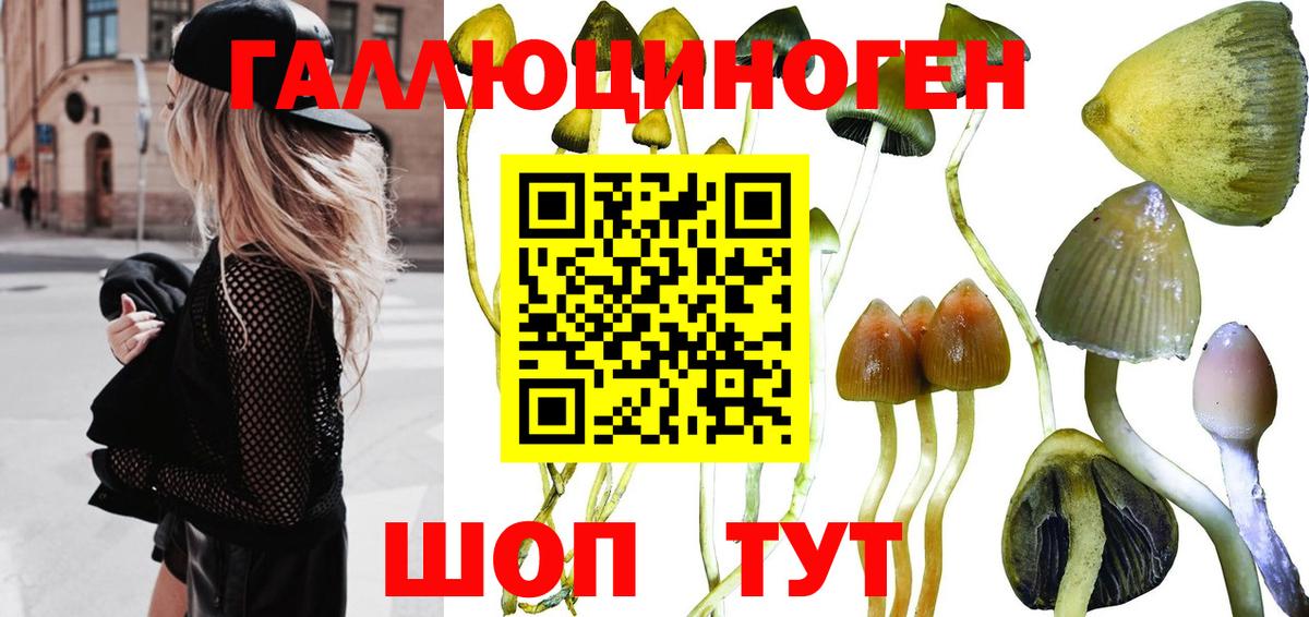 Галлюциногенные грибы прущие грибы Нарьян-Мар