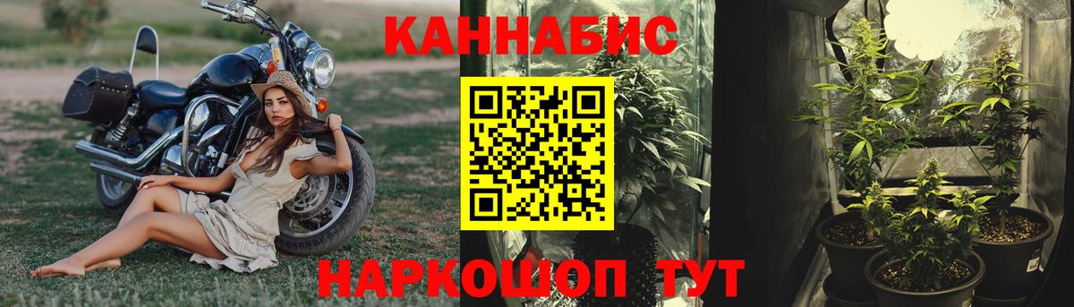 Шишки марихуана планчик  Вход с VPN  Бошки марихуана индика  Канабис VHQ  Нарьян-Мар 